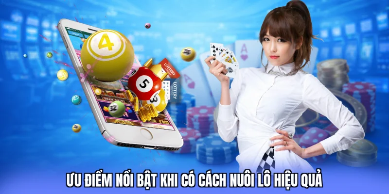 Ưu điểm nổi bật khi có cách nuôi lô hiệu quả